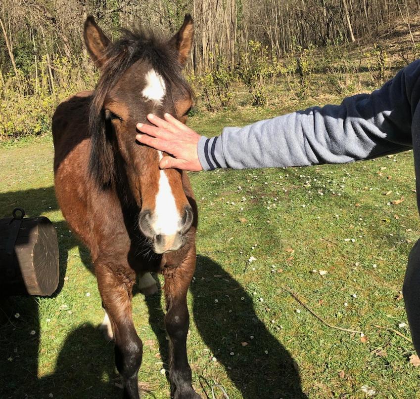 Residence Ai Laghi Temossi Zewnętrze zdjęcie